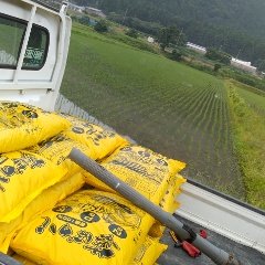 もち米の追肥